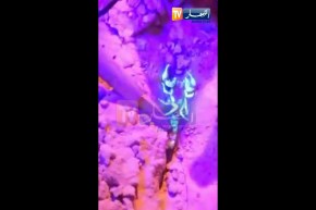 الوادي.. شاهد عقارب داخل إبتدائية تهدد حياة التلاميذ