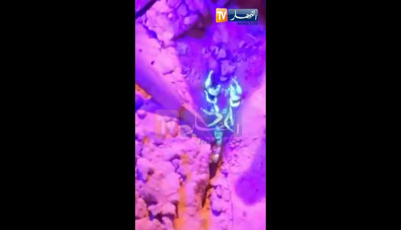 الوادي.. شاهد عقارب داخل إبتدائية تهدد حياة التلاميذ