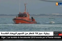 الطارف: وفاة شخص وإصابة 6 آخرين خلال إصطدام قارب صيد وسفينة شحن مالطية