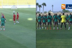 السويس: المنتخب الإفواري يجري آخر حصة تدريبية قبل لقاء الخضر