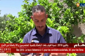 باتنة : حشرات تتلف الثمار و الأشجار و تتسبب في خسائر كبيرة للفلاحين