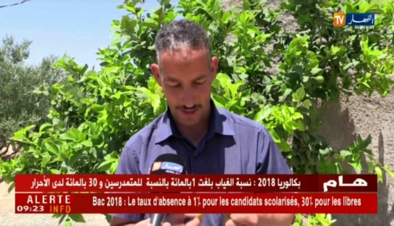 باتنة : حشرات تتلف الثمار و الأشجار و تتسبب في خسائر كبيرة للفلاحين