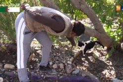 تيسمسيلت/ أصم وأبكم يطلق مبادرة فردية للتوعية بقضايا البيئة