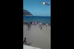 شاهد..شجار عنيف بين المصطافين بشواطئ القل