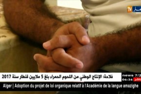 ميلة : شاب من بني قشة يبدع في برنامج إلكتروني يخص البلديات الذكية