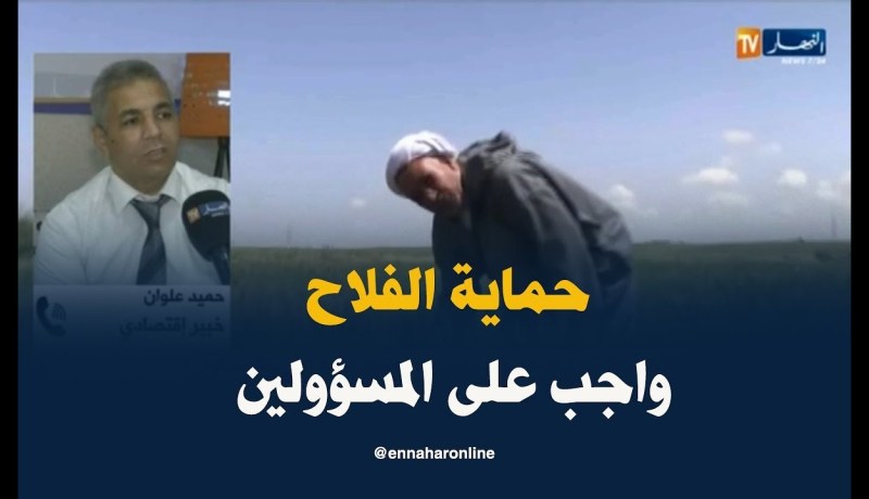 خبير إقتصادي/ “على الجزائر أن تحمي فلاحيها..ويجب التفاوض قبل بداية أي مشروع”