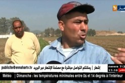 سكيكدة: فلاحون يرفضون تحويل أراضي خصبة إلى مناطق صناعية