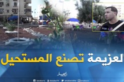عين تيموشنت: شاب يحول مساحة مخصصة لمكب للنفايات إلى فضاء للراحة..