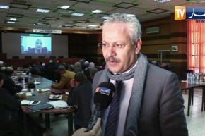 فلاحة: توقعات بمردود يصل إلى 20 قنطار في الهكتار لمحصول السلجم