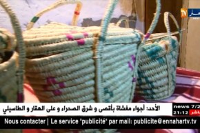 بورتريه: السيدة شريفة..رزقها من صلابة سواعدها