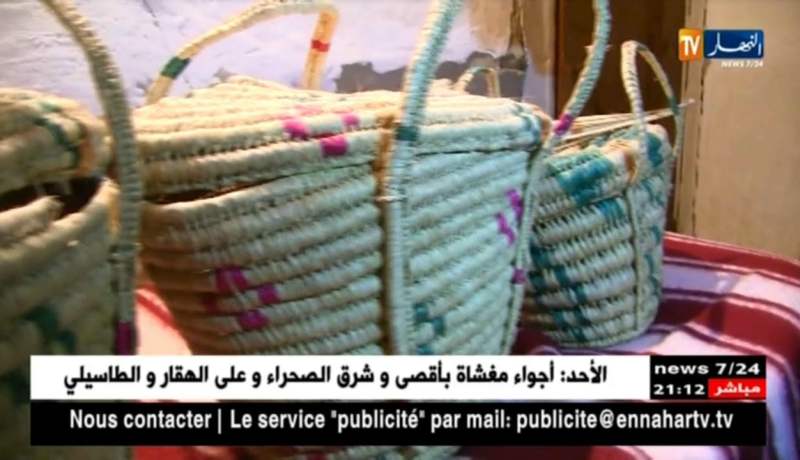 بورتريه: السيدة شريفة..رزقها من صلابة سواعدها