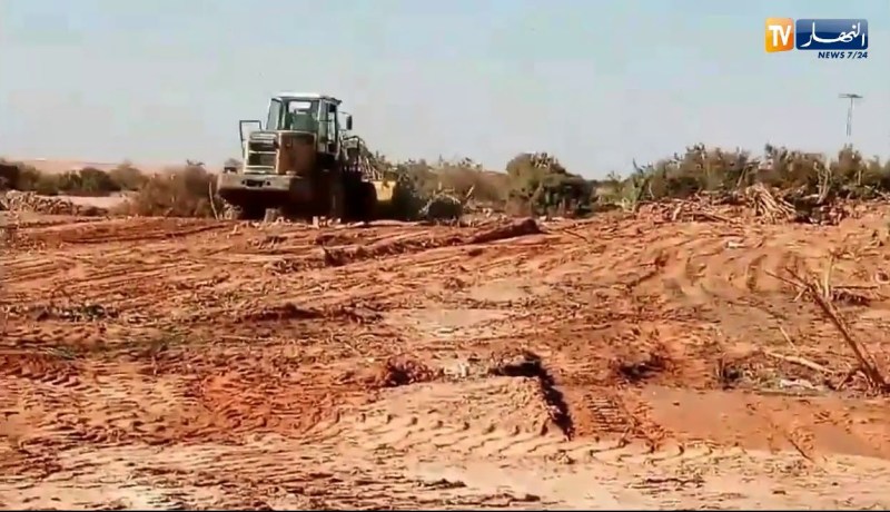 غرداية.. ابادة واحة نخيل لانشاء مصنع للكرطون بزلفانة