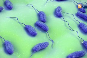 صحة ونصيحة/ خبز على قارعة الطريق…سموم وجراثيم تهدد صحتنا