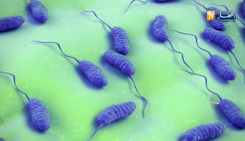 صحة ونصيحة/ خبز على قارعة الطريق…سموم وجراثيم تهدد صحتنا