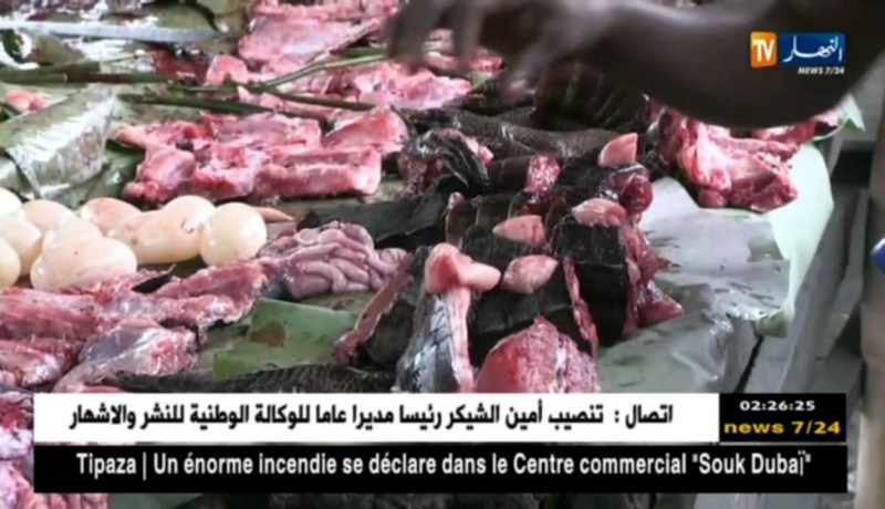 الكونغو: عودة الإيبولا.. إذا عرف السبب بطل العجب