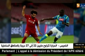 نابولي يقضي على ليفربول في الدقائق الأخيرة بهدف “إنسيني”