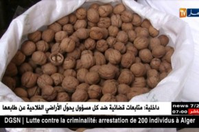 تجارة: أسعار المكسرات ترتفع بأسواق الجملة.. وTVA هي السبب