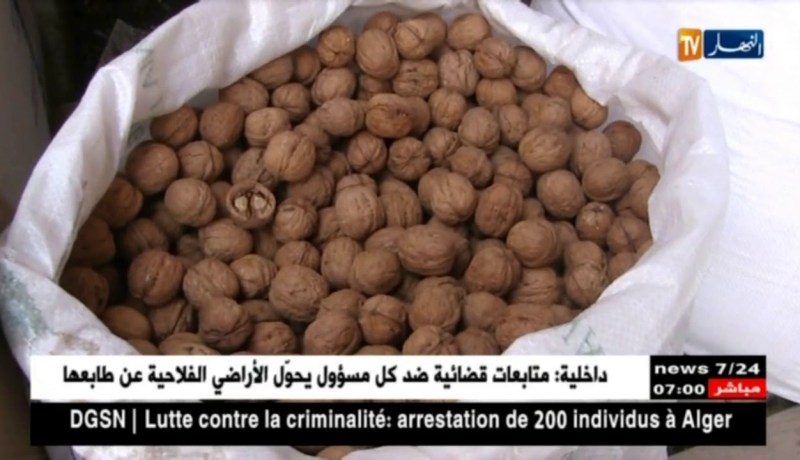 تجارة: أسعار المكسرات ترتفع بأسواق الجملة.. وTVA هي السبب