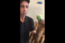 شاهد بائع يتناول “الهندي” بالشوك
