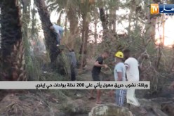ورقلة : نشوب حريق مهول ياتي على 200 نخلة بواحات حي إيفري