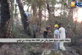 ورقلة : نشوب حريق مهول ياتي على 200 نخلة بواحات حي إيفري