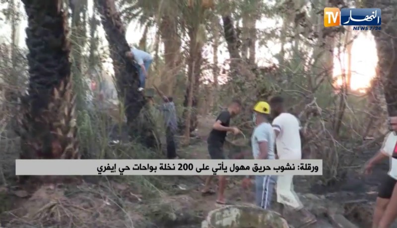 ورقلة : نشوب حريق مهول ياتي على 200 نخلة بواحات حي إيفري