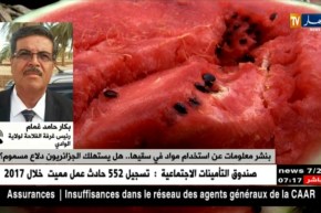 رئيس غرفة الفلاحة بالوادي : حماية المستهلك  أساسنا ولا بد أن نقدم منتوج أفضل