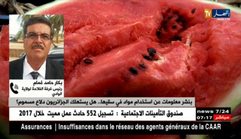 رئيس غرفة الفلاحة بالوادي : حماية المستهلك  أساسنا ولا بد أن نقدم منتوج أفضل