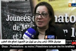 المسيلة : إفتتاح المهرجان الوطني للسينما والسياحة الشبانية
