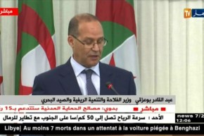 كلمة وزير الفلاحة خلال الإجتماع التحضيري للوقاية ومكافحة حرائق الغابات