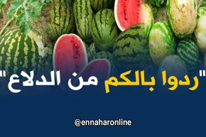 رواد مواقع التواصل الإجتماعي يحذرون من فاكهة “الدلاع “