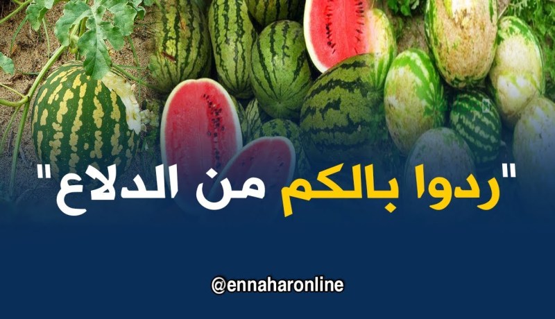 رواد مواقع التواصل الإجتماعي يحذرون من فاكهة “الدلاع “