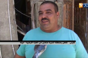 ميلة : العائلات تغادر منطقة الخربة تباعا بعد تضرر مساكنها جراء الهزة الأرضية