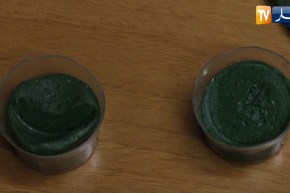 مجتمع: مشاريع أونساج ناجحة وأخرى متعثرة.. عينات من الميدان