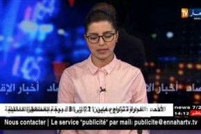 تونس:الغنوشي يؤكد تمسك النهضة بيوسف الشاهد على رأس الحكومة