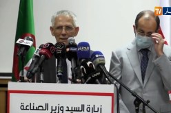 هذه هي خطة الحكومة لإعادة البريق لمركب الحجار وكشف التجاوزات