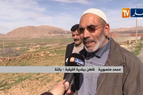 باتنة: 6 كلاب تفترس طفلا وتدخل آخر غرفة الإنعاش ببلدية القيقبة