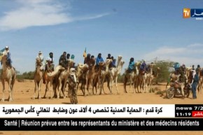 مالي : مقتل 40 شخصا من الطوارق في هجوم مسلح شمالي البلاد