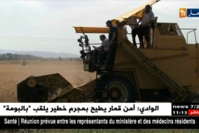 وزارة الفلاحة تتوقع حصادا زراعيا كبيرا هذا الموسم بسبب تساقط الأمطار الوفير