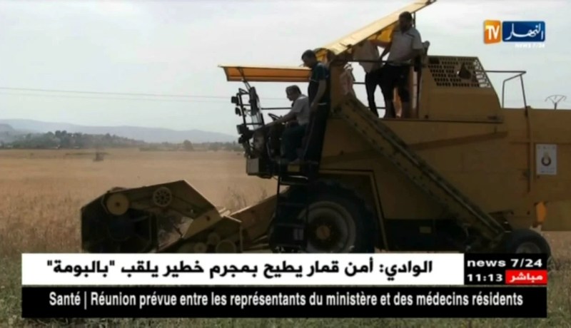 وزارة الفلاحة تتوقع حصادا زراعيا كبيرا هذا الموسم بسبب تساقط الأمطار الوفير