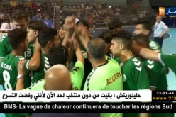 أشبال الخضر في كرة اليد ينهزمون في النهائي أمام المنتخب المصري ويكتفون بالفضية