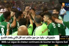 أشبال الخضر في كرة اليد ينهزمون في النهائي أمام المنتخب المصري ويكتفون بالفضية
