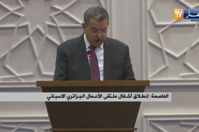 الوزير الأول: قطاع المناجم من القطاعات التي تستدعي الإهتمام الكبير من طرف السلطات العليا