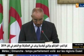 بدوي: وحدات الحماية المدنية ستتدعم بـ 15 رتل جديدة للتصدي لحرائق الغابات