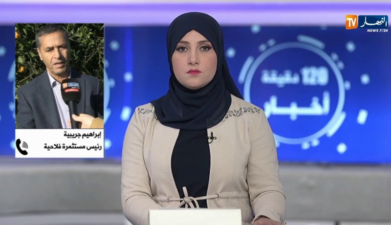 رئيس مستثمرة فلاحية: “نقص الأمطار أثر سلبا على نمو المنتجات الفلاحية”