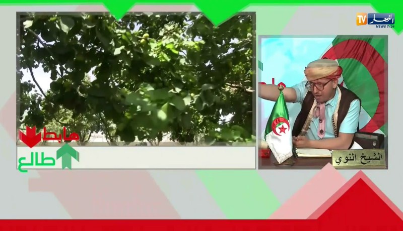 طالع هابط: أرض فلاحية جنة حبو يبنو فيها باطيمات.. أين أنتم يا مسؤولين