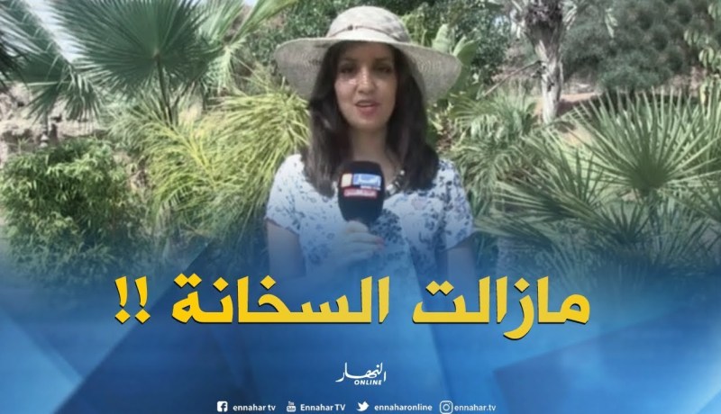 أحوال الطقس /” درجات الحرارة تفوق الـ49 تحت الظل بالجنوب !! “