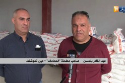 عين تموشنت/ توفير نقاط بيع مباشرة لمادة الفرينة بأسعار الجملة لكسر المضاربة