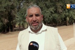 غرداية: بعد إنتاج الحبوب الجافة..الشروع في إنتاج البقوليات