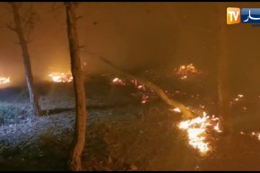 وهران: إندلاع حريق بغابة مداغ التابعة بعين الكرمة والحماية المدنية تنقذ إمرأة حاصرتها النيران